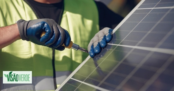 Sustentabilidade como pilar de competitividade e reforço do propósito social das empresas